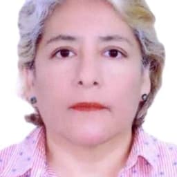 Will Elizabeth María del Rosario León Chinchay win the next Lima mayoral elections?