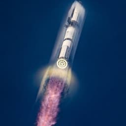 Will Elon Musk change his X profile picture by January 31?