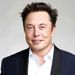 Will Elon Musk get full custody of the St. Clair child?