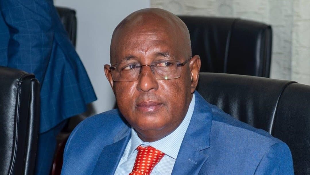 Will Mamadu Iaia Djaló win the 2025 Guinea-Bissau presidential election?