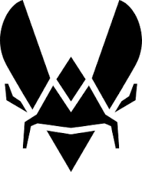 Will Team Vitality Make a Roster Change by December 31?