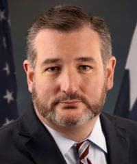 Will Ted Cruz be confirmed to be the sender of the “I beat Bush” email to Epstein in 2026?