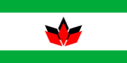 Will the Democratic Union of Hungarians in Romania (UDMR) be included in the next Romanian government?