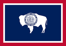 Wyoming Governor Republican Primary Winner